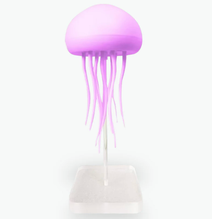 Cyamba | Medusa Lamp