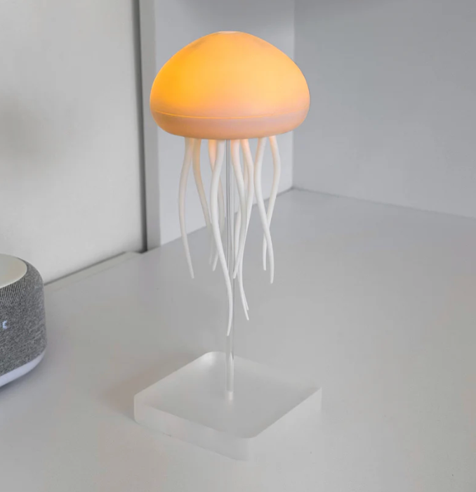 Cyamba | Medusa Lamp